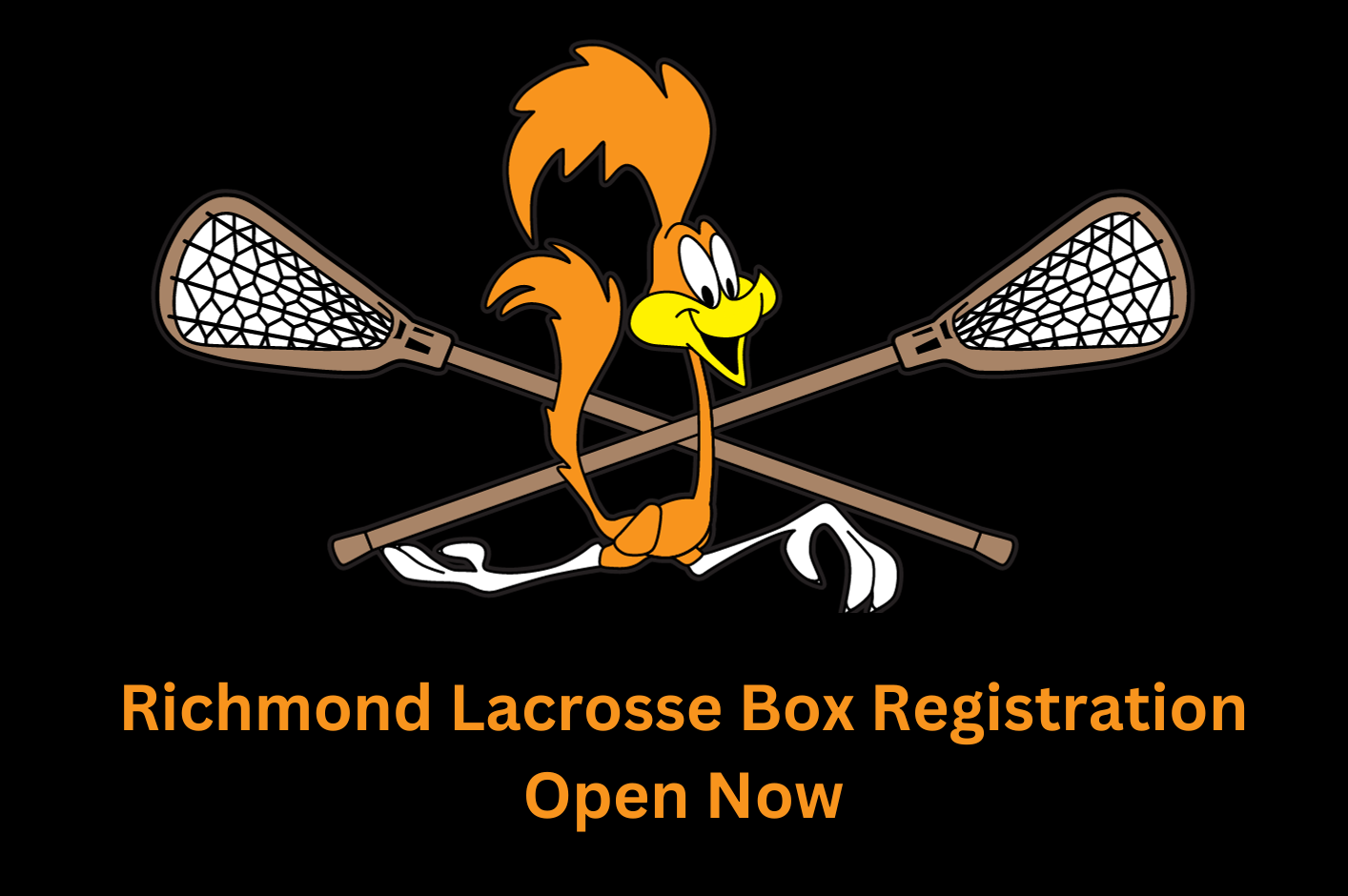 Richmond Lacrosse Association site by RAMP InterActive